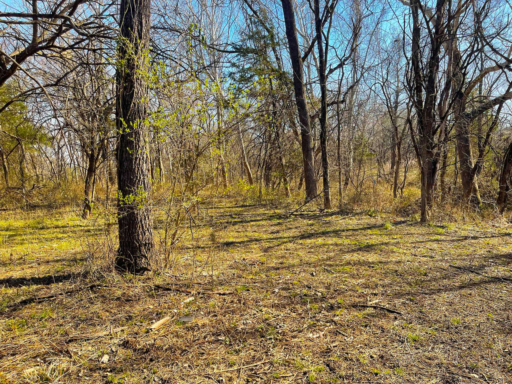 Quail Ridge 20260320_155300603_iOS