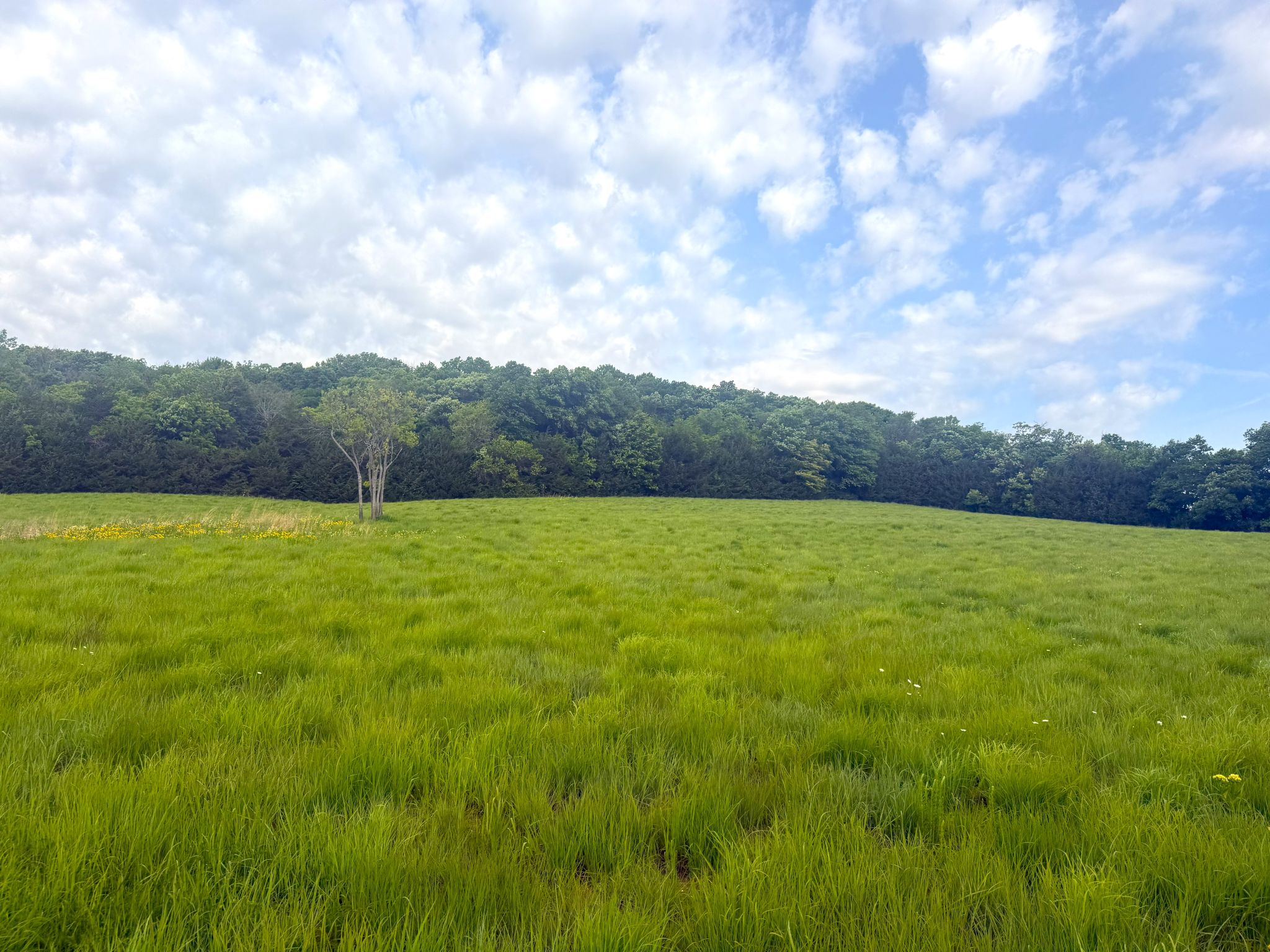 Twin Ridge 20260514_140649821_iOS