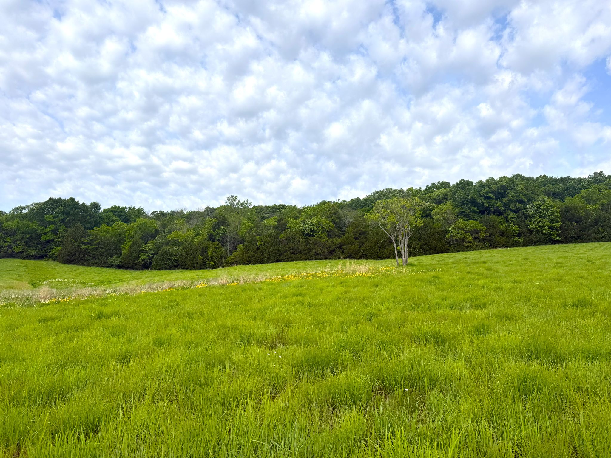Twin Ridge 20260514_140706802_iOS