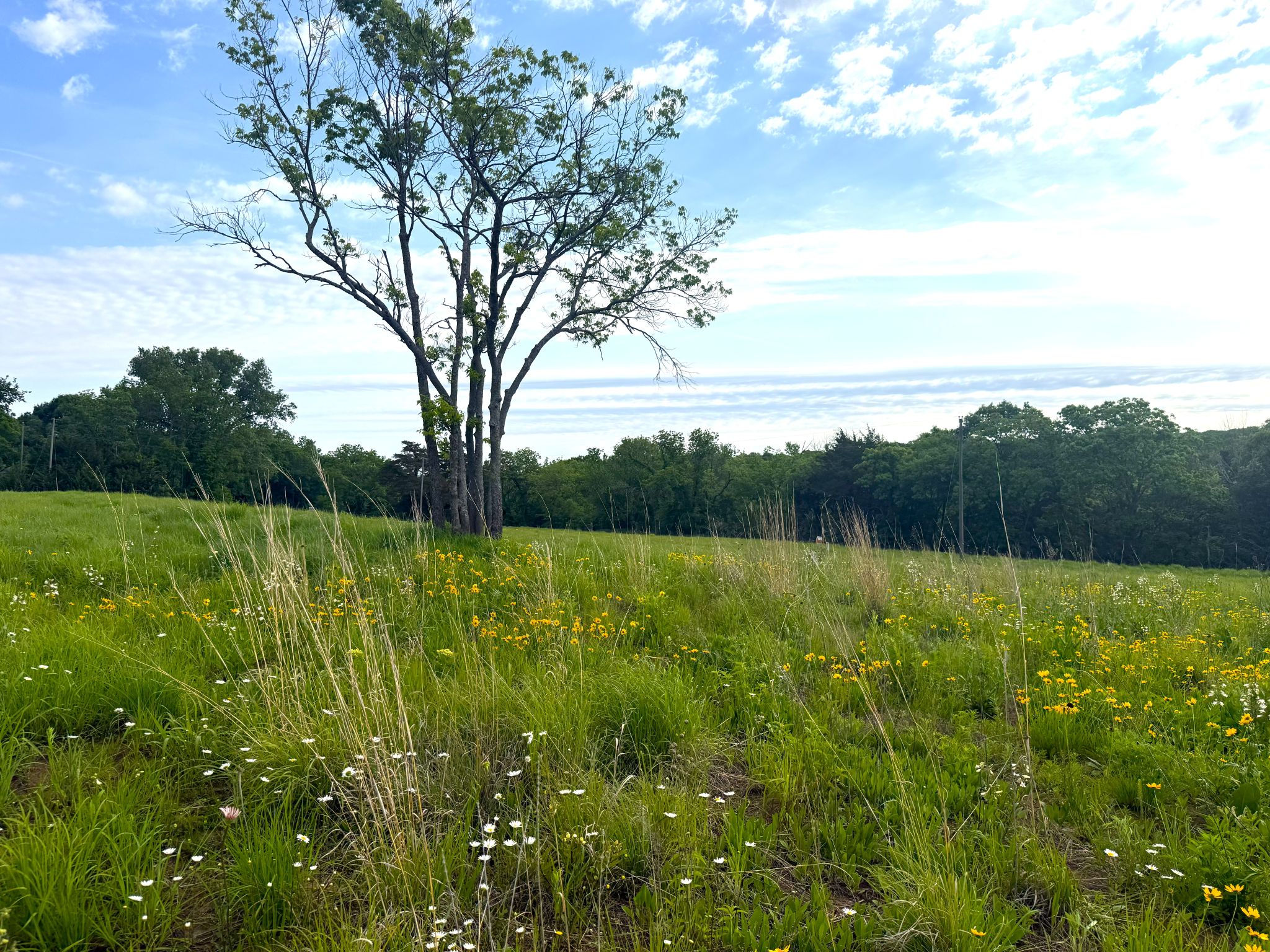 Twin Ridge 20260514_140900095_iOS