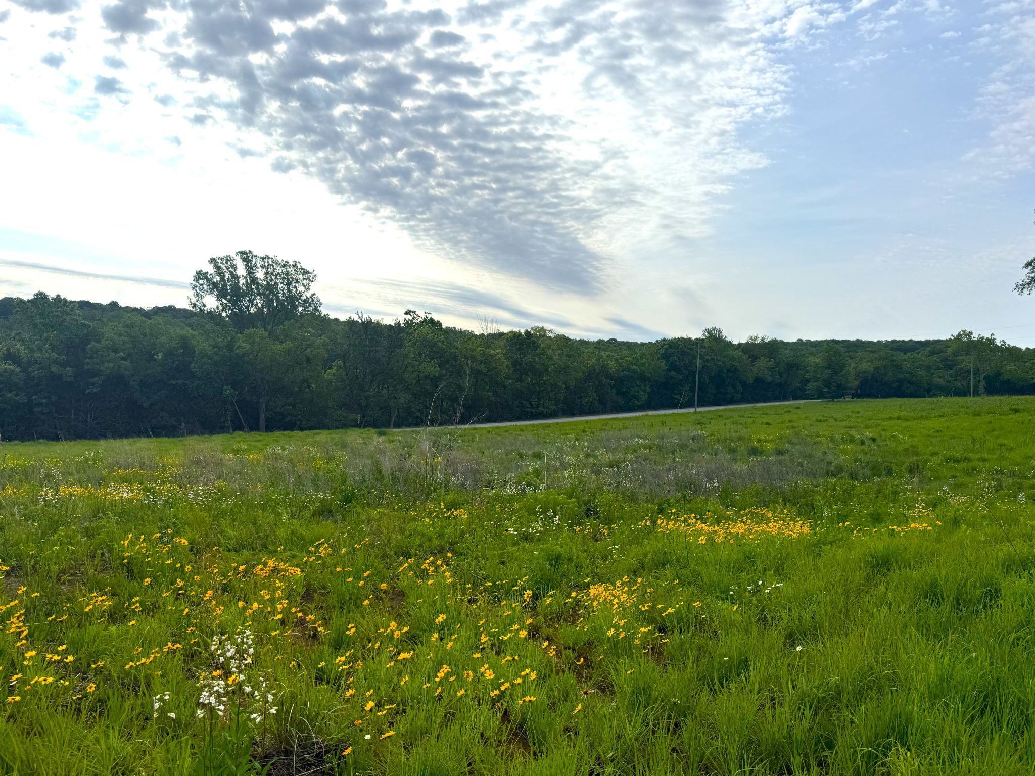 Twin Ridge 20260514_140933143_iOS