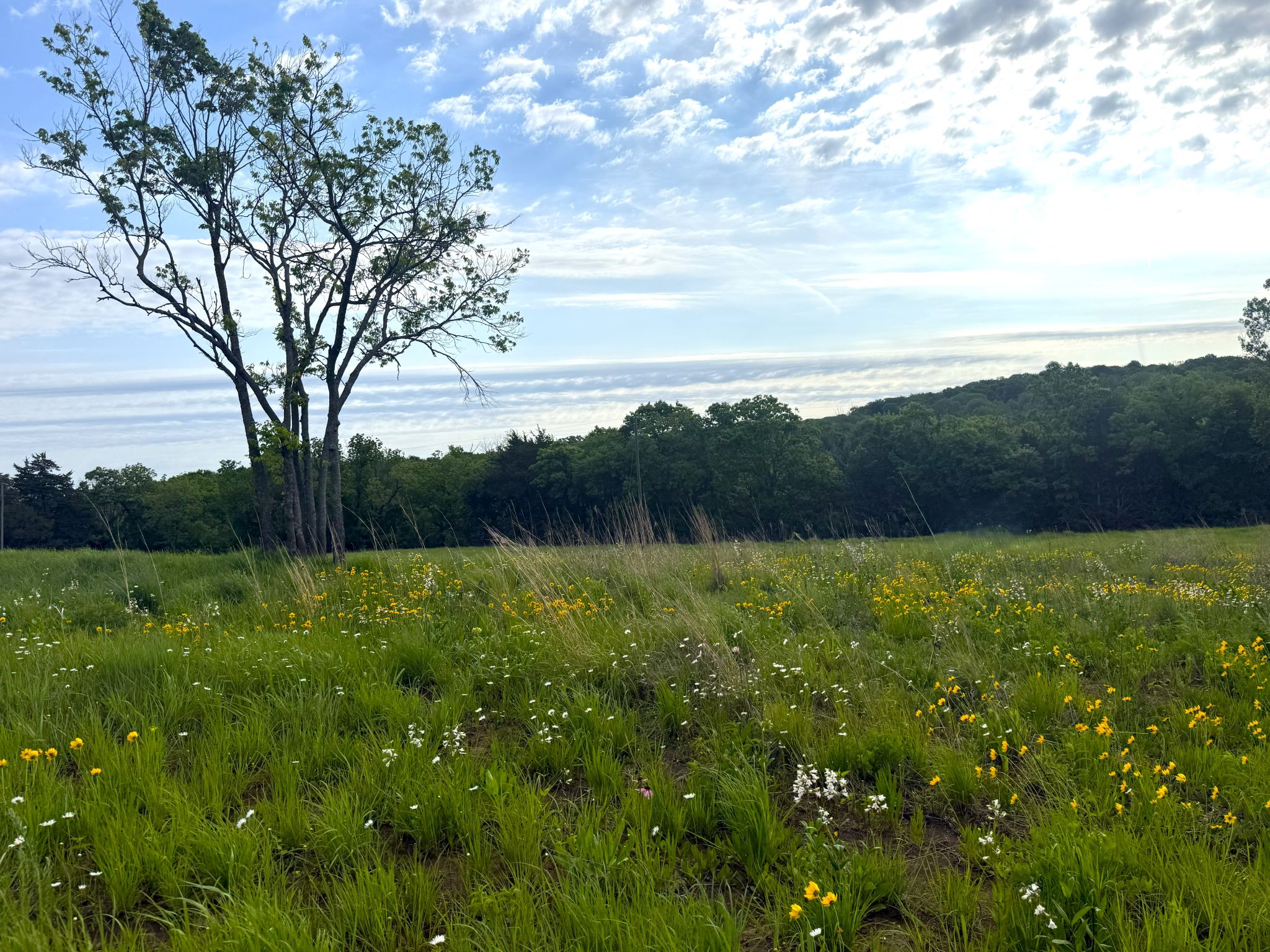 Twin Ridge 20260514_140944365_iOS