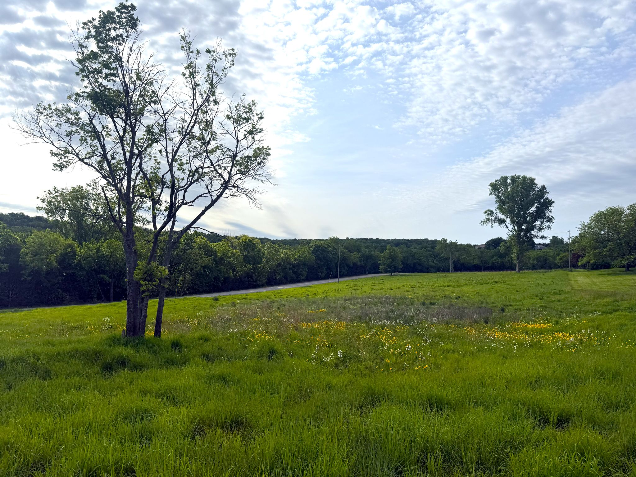 Twin Ridge 20260514_141018674_iOS