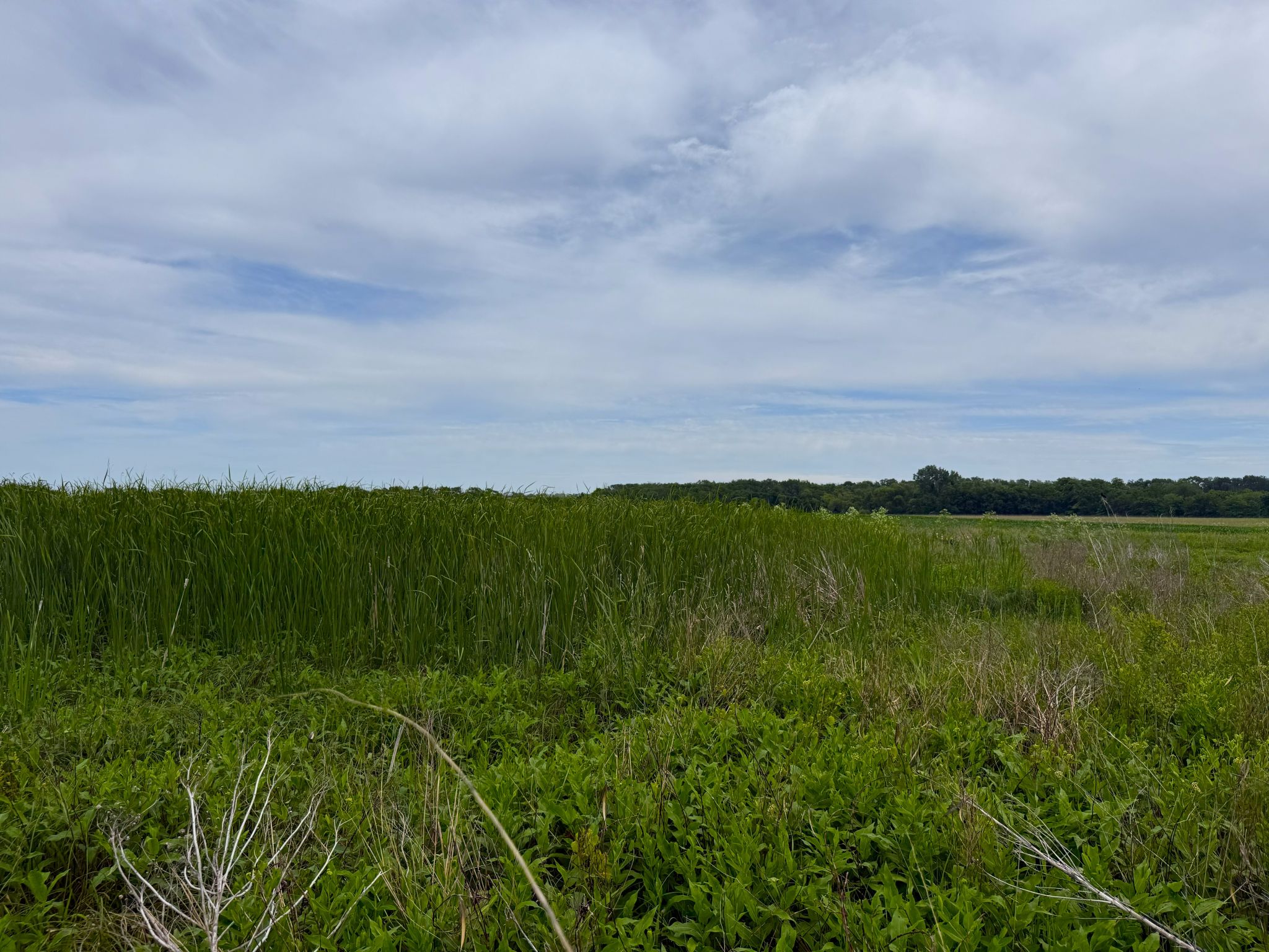 North 20260526_191811784