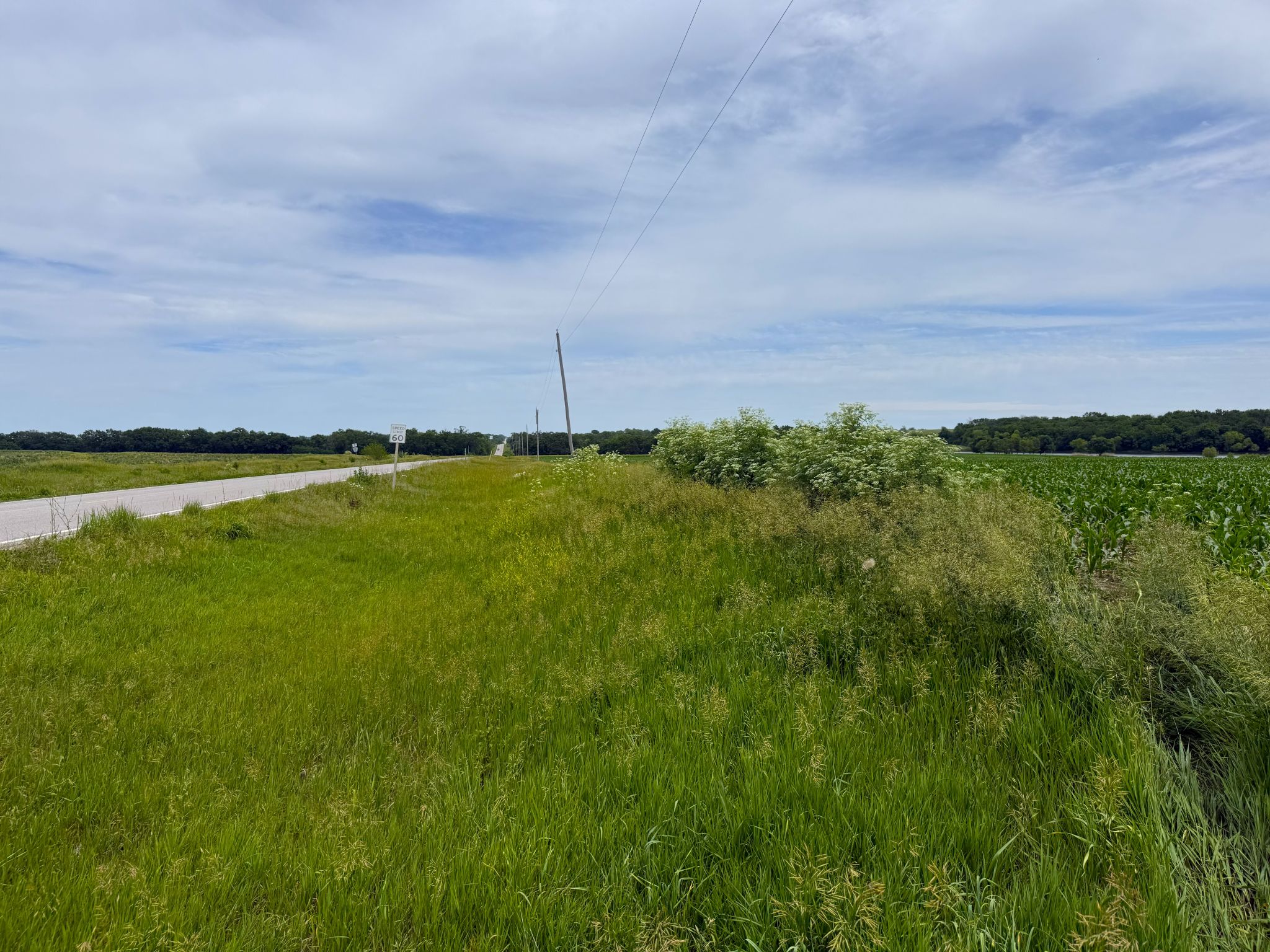 North 20260526_192134598