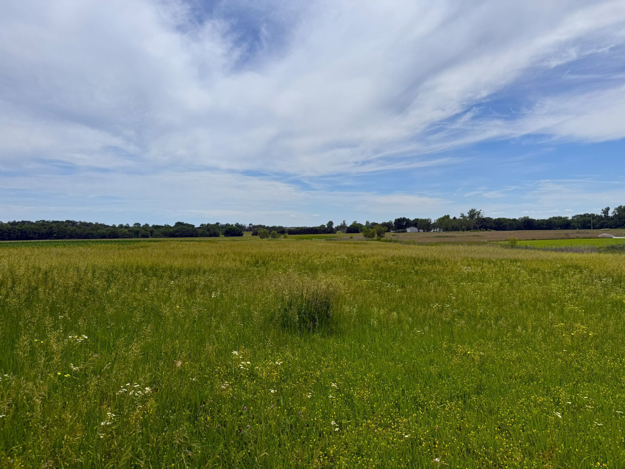 North 20260526_192416960