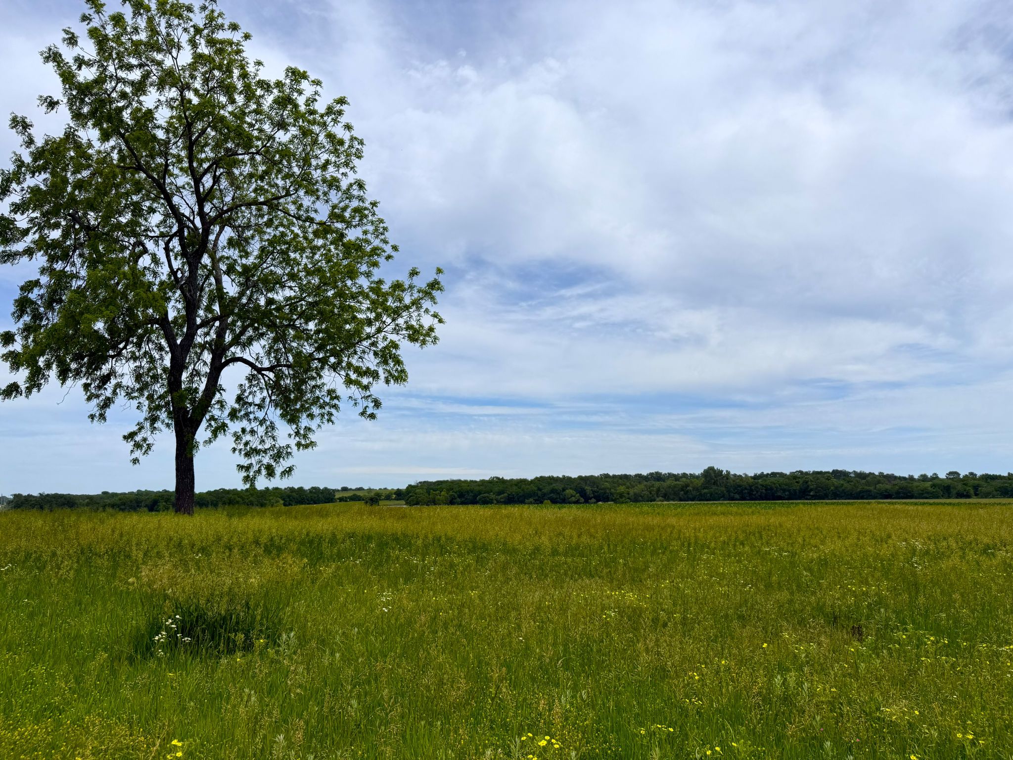 North 20260526_192433317