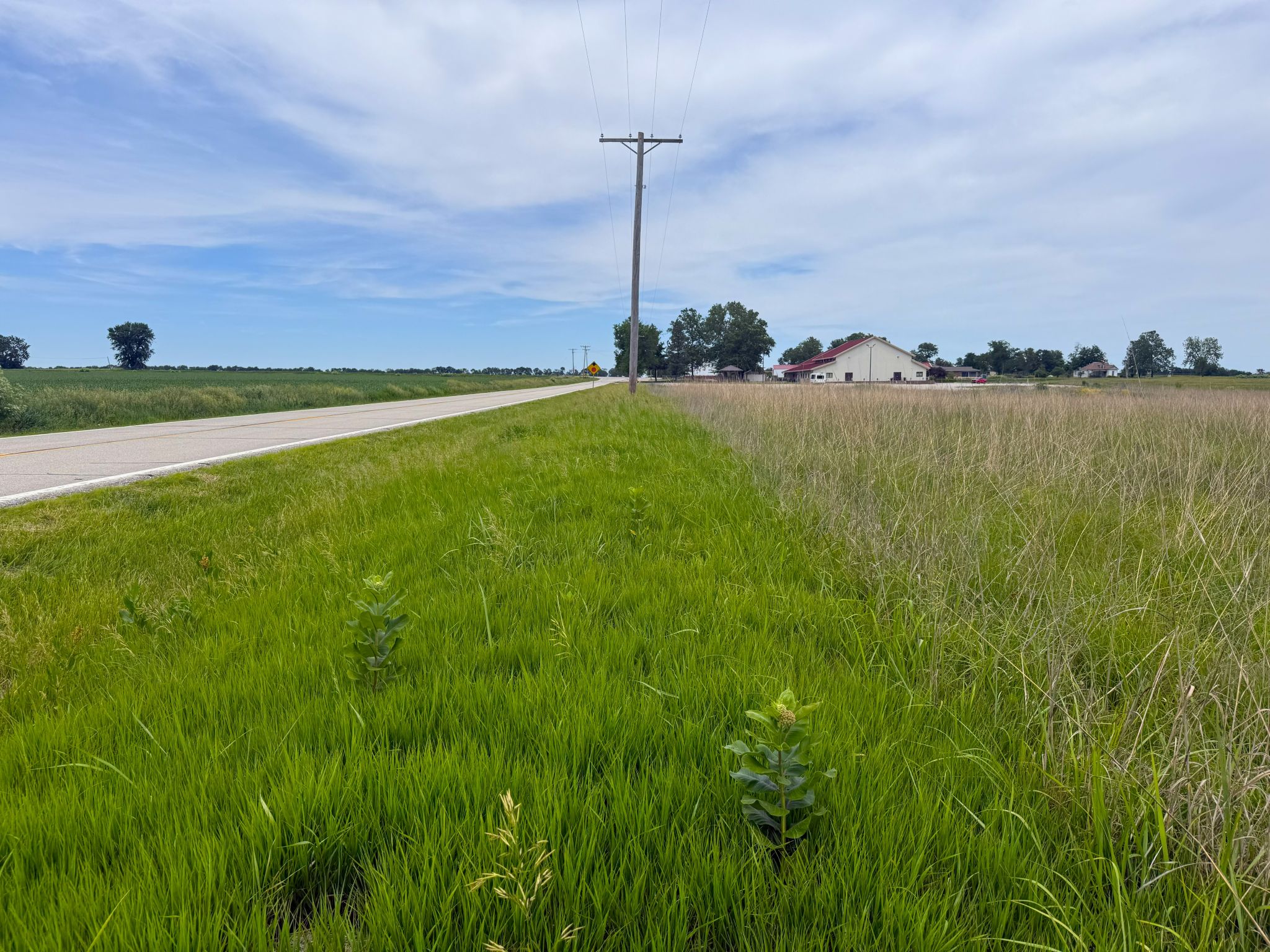 South 20260526_190715734