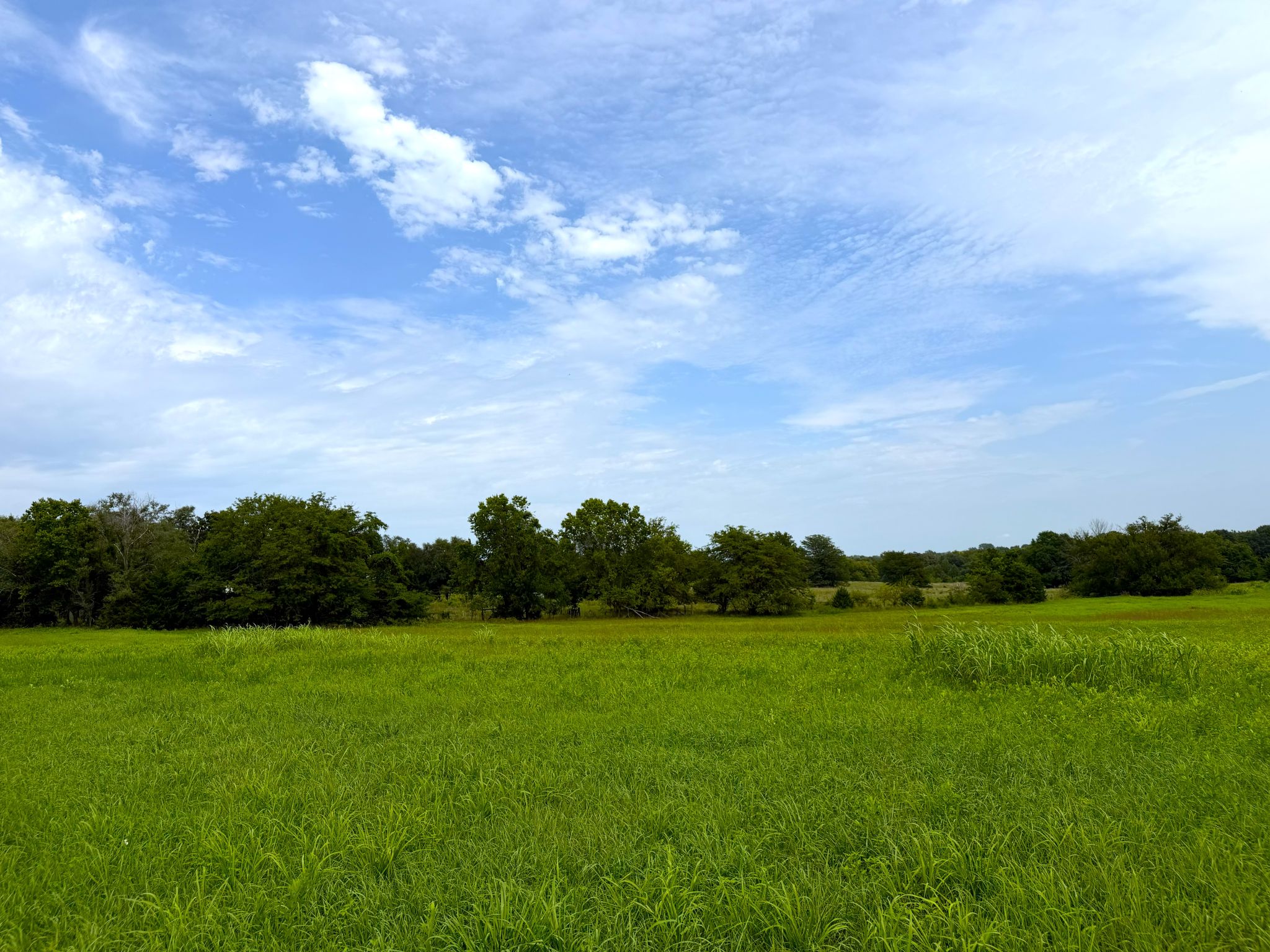 Sunset Ridge Lot 1 003