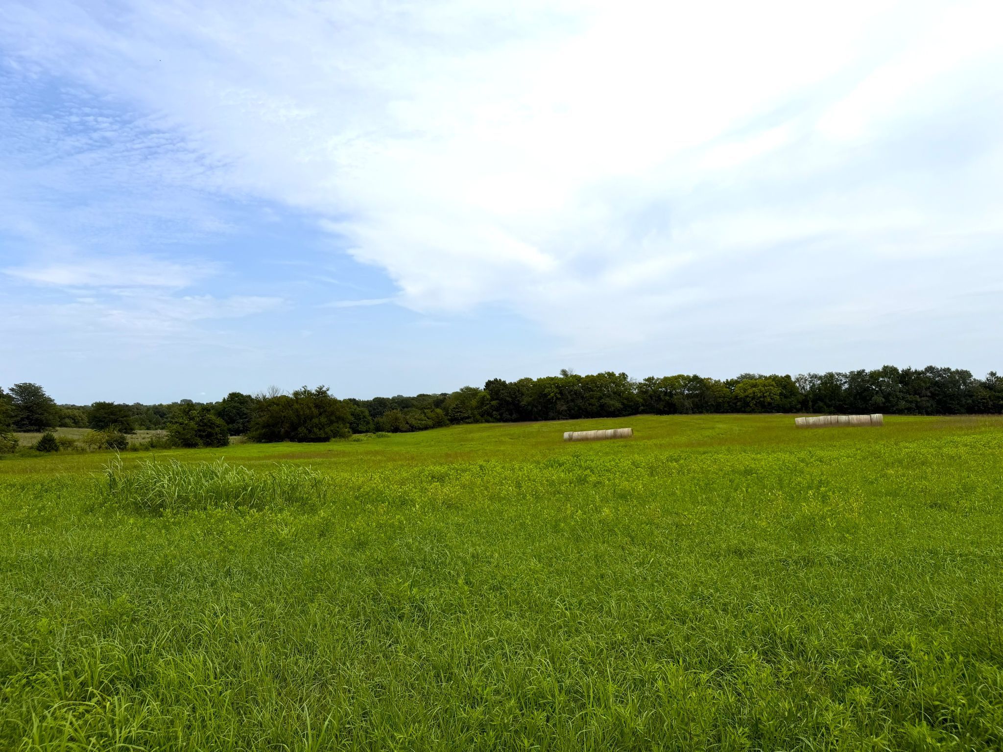 Sunset Ridge Lot 1 004