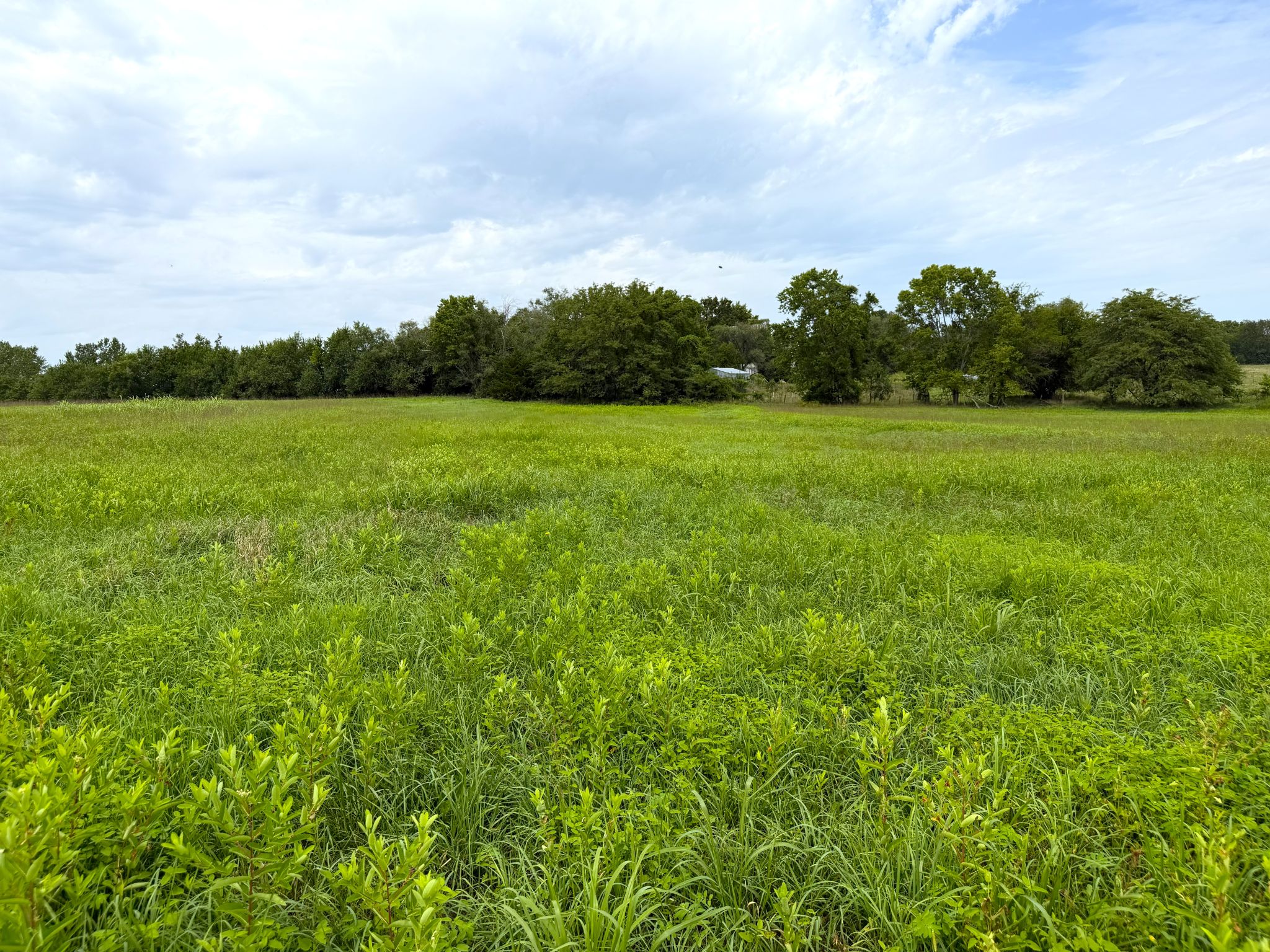 Sunset Ridge Lot 1 007