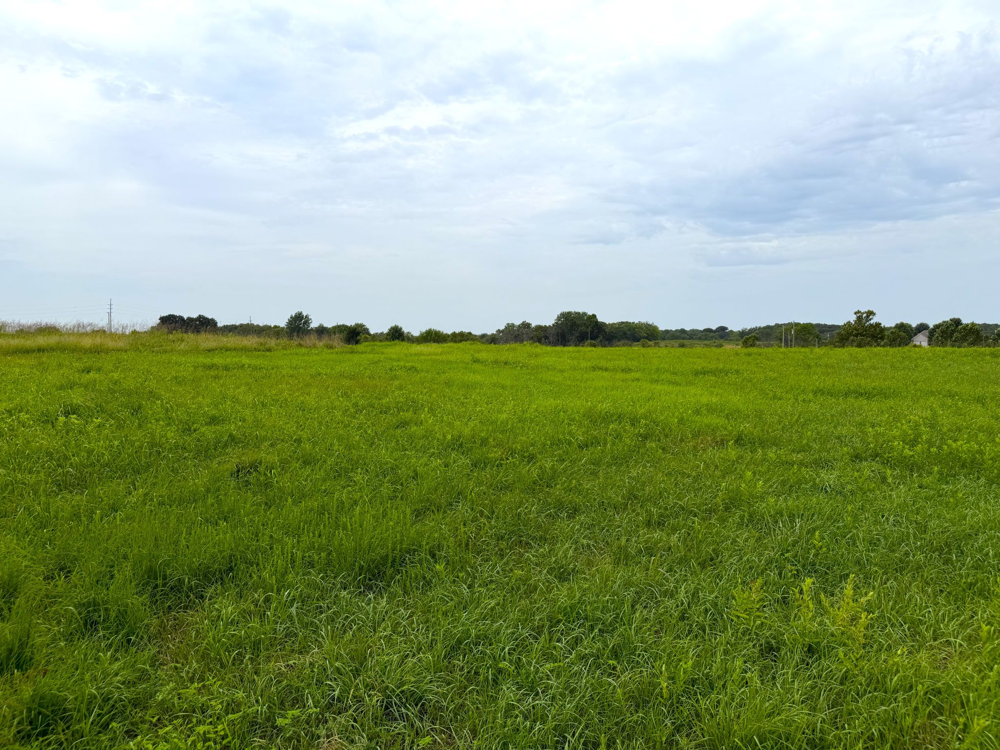 Sunset Ridge Lot 2 005