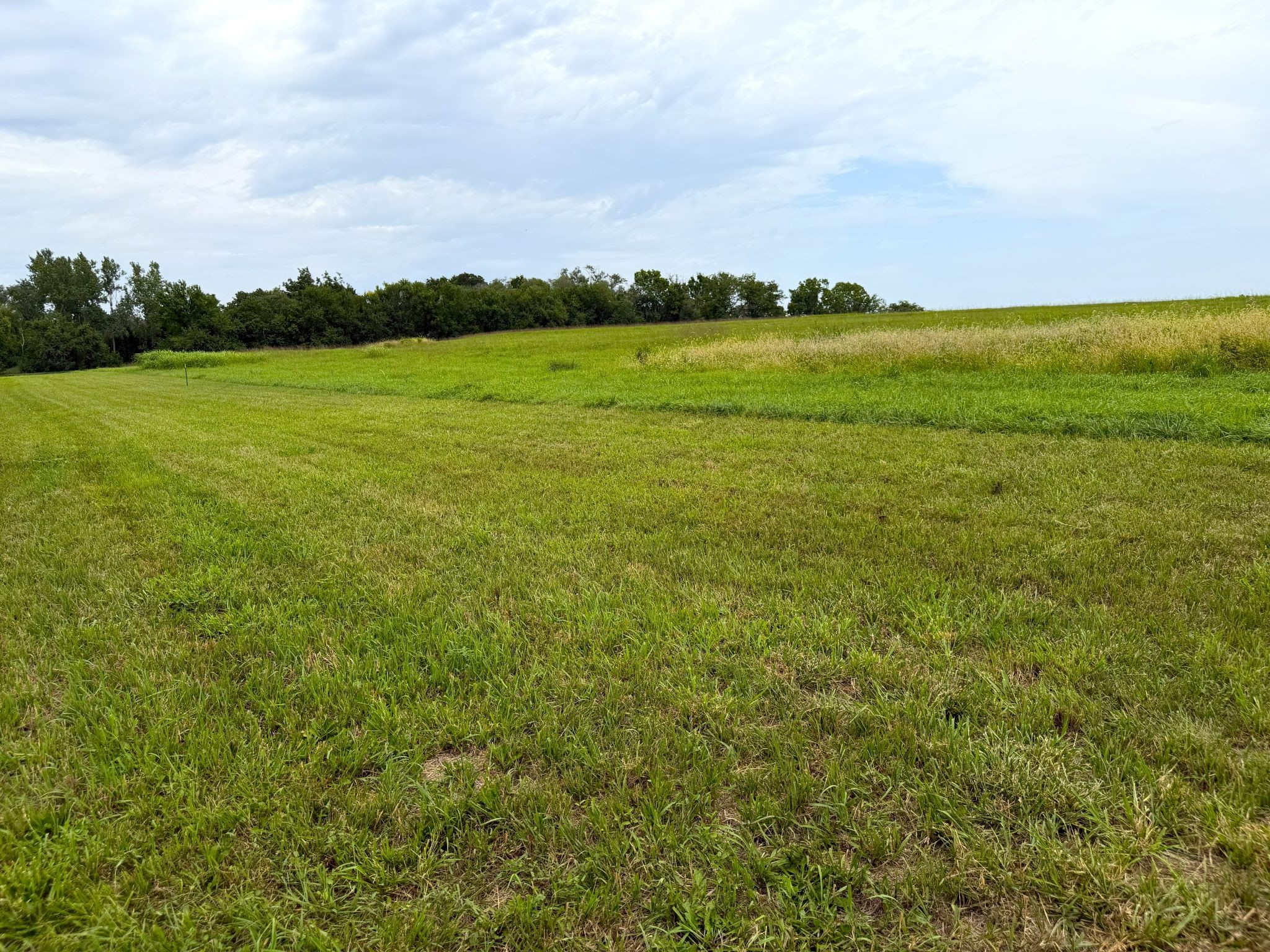 Sunset Ridge Lot 2 007