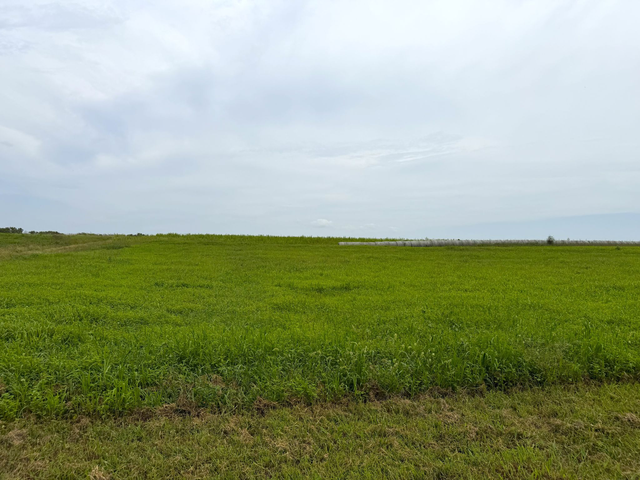 Sunset Ridge Lot 3 005
