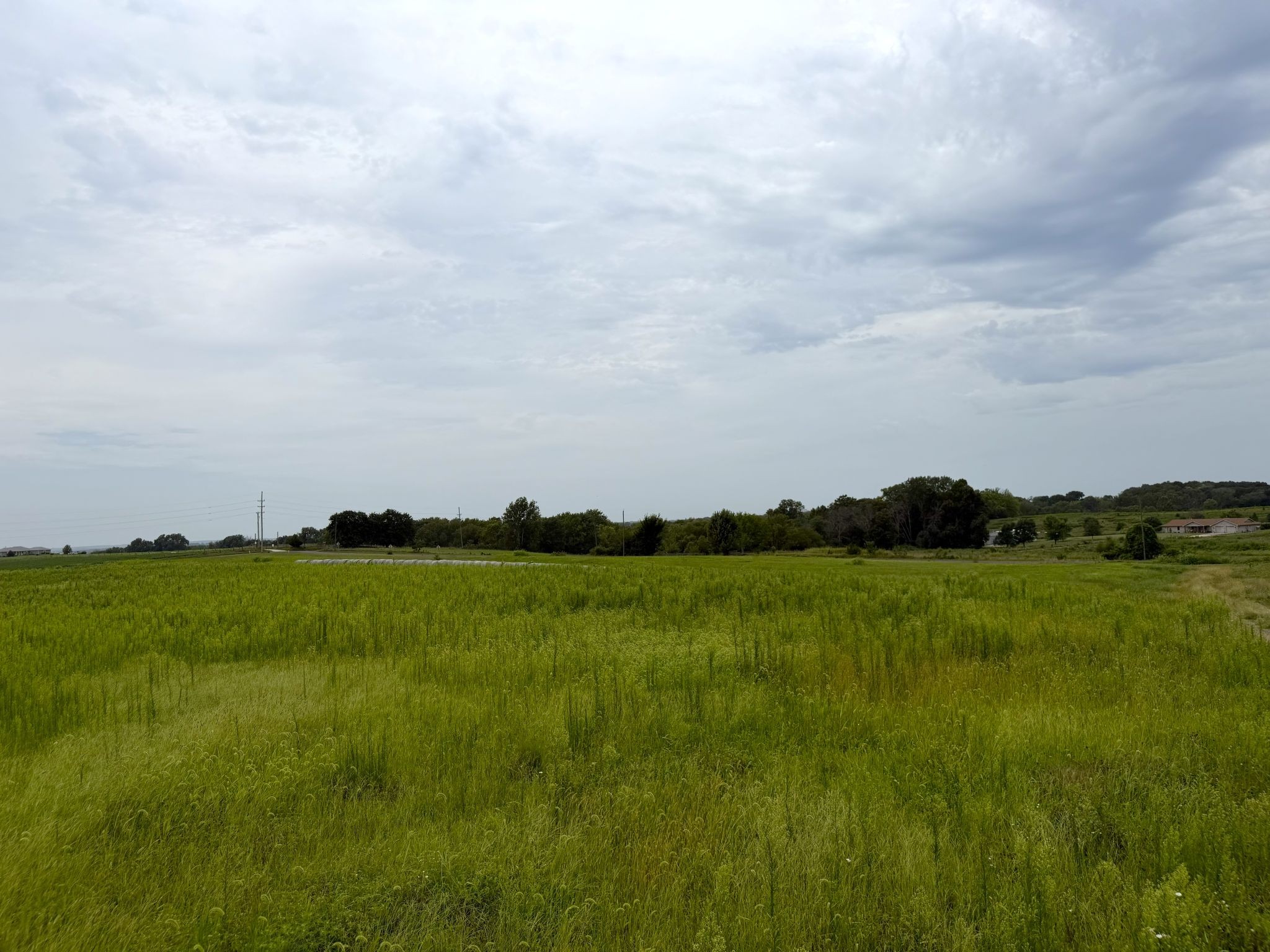Sunset Ridge Lot 3 008