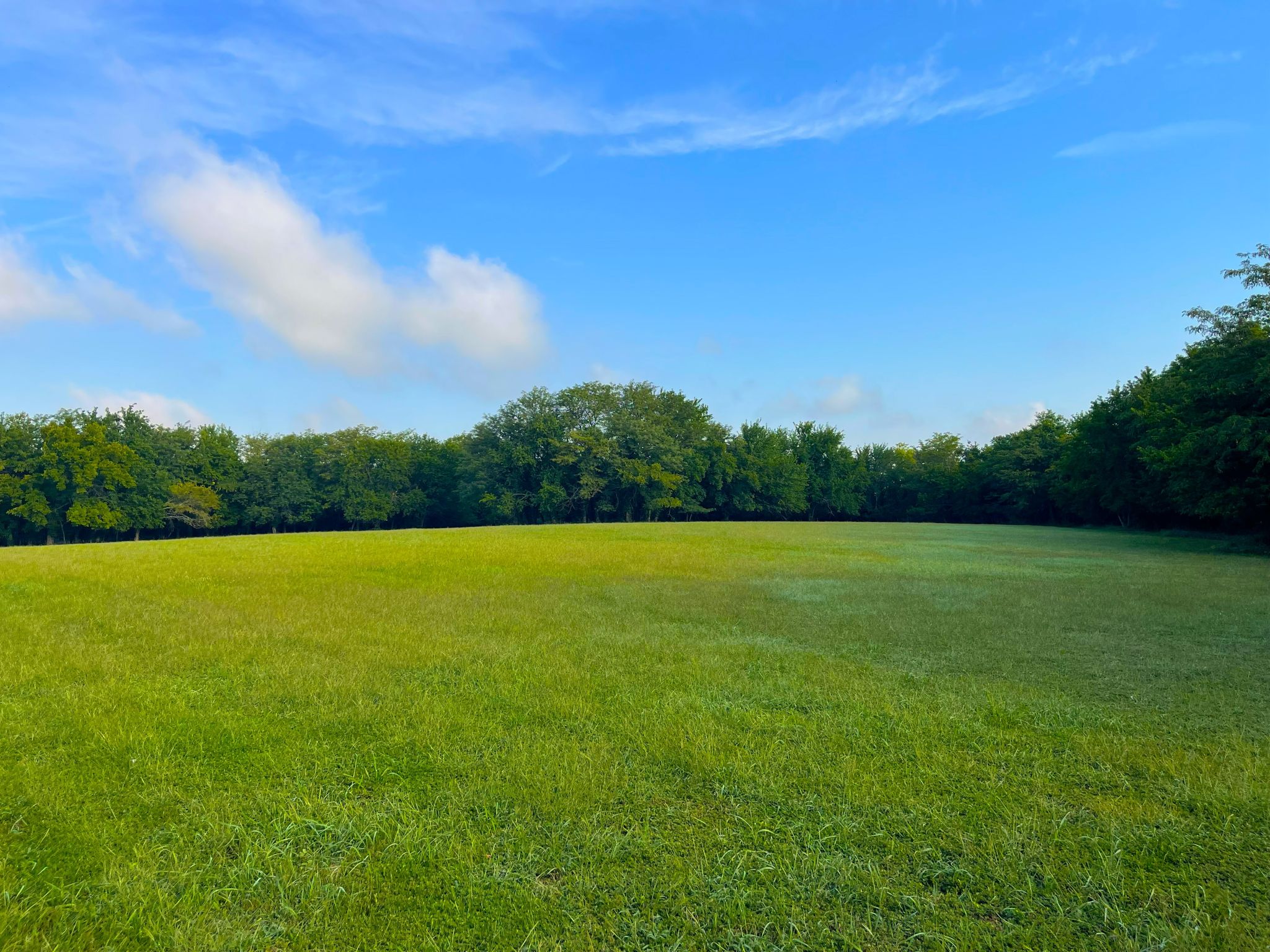 Wild Hare Acres 1