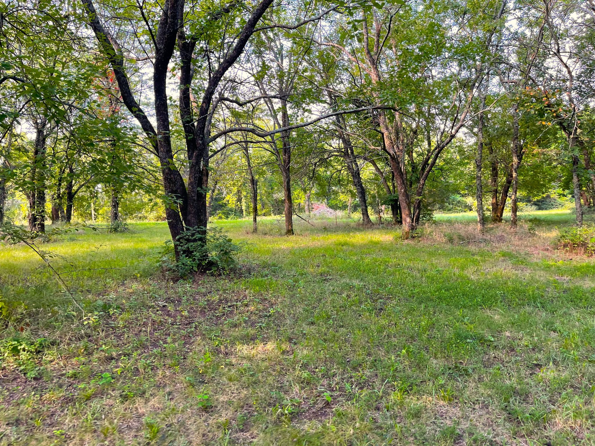 Wild Hare Acres 4