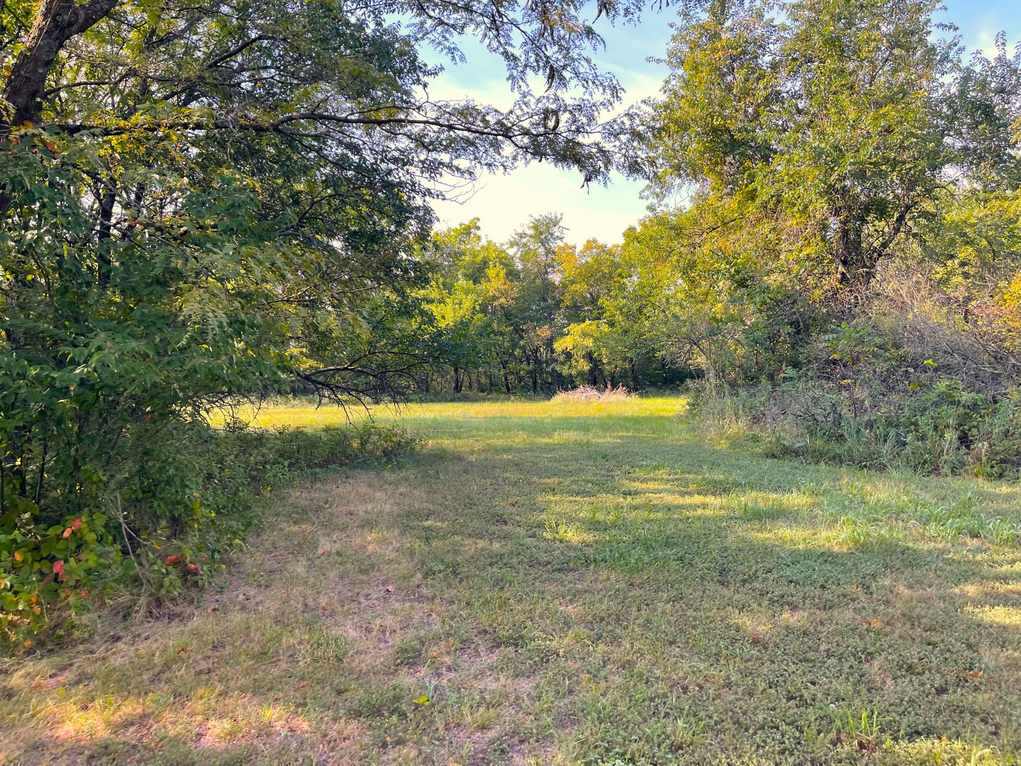 Wild Hare Acres 5
