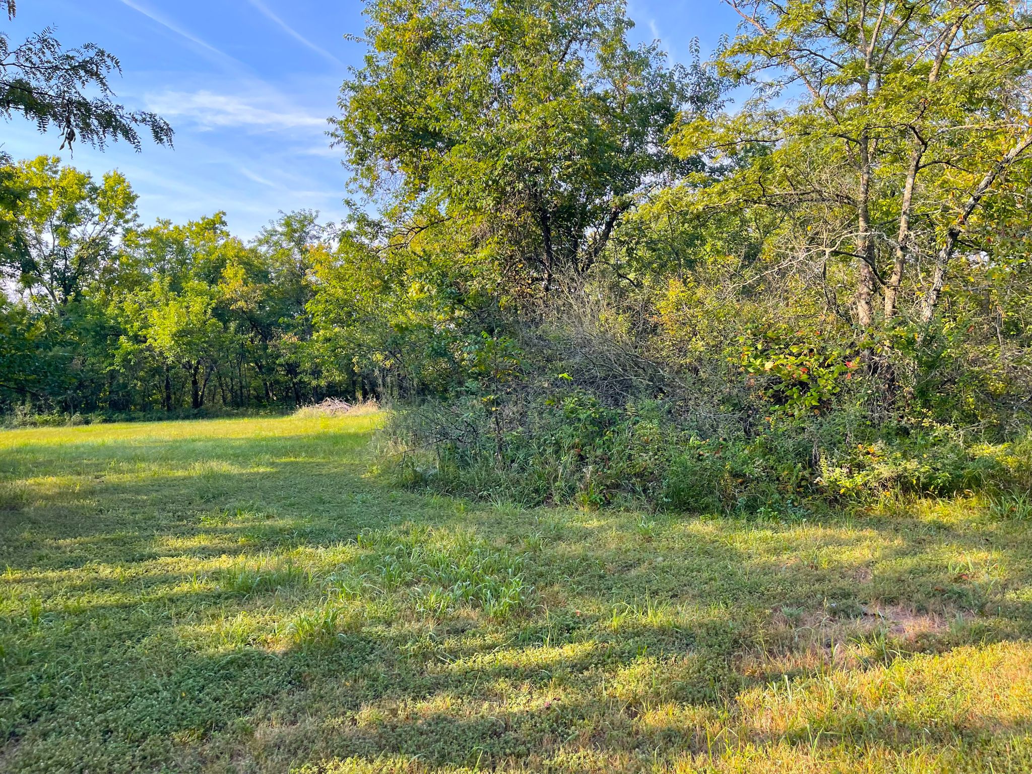 Wild Hare Acres 6