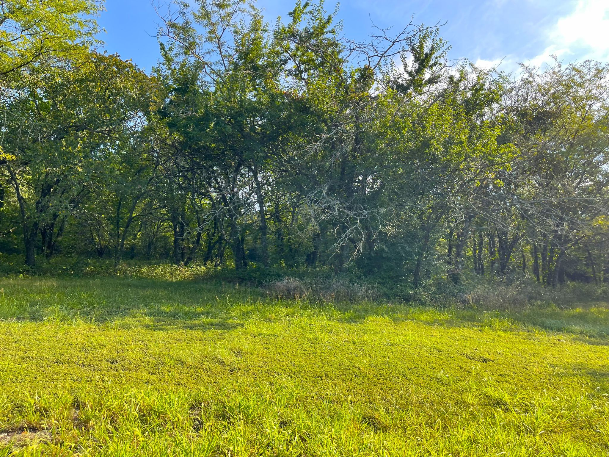 Wild Hare Acres 7